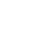 x logo